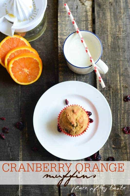 Cranberry Orange Muffin by Place Of My Taste