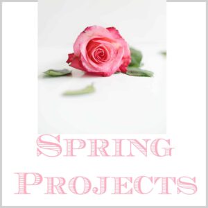Spring Projects