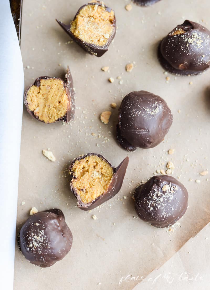 Chocolate Pumpkin Truffles -Placeofmytaste.com