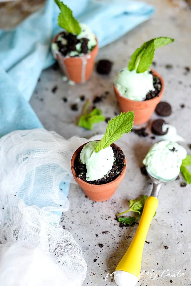 Mini mint Chocolate ice cream planters -10