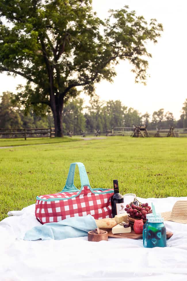 5 TIPS FOR THE PERFECT PICNIC-4