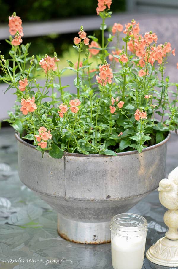 unique-flower-pot