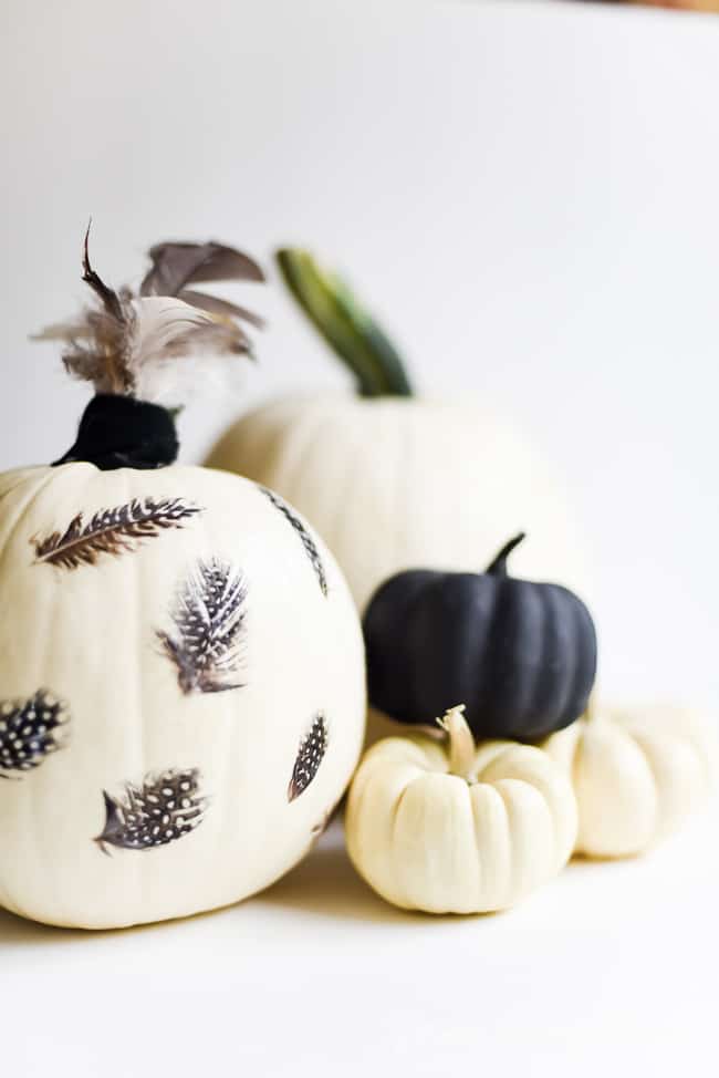 Feather Decoupage Pumpkin (10 of 11)