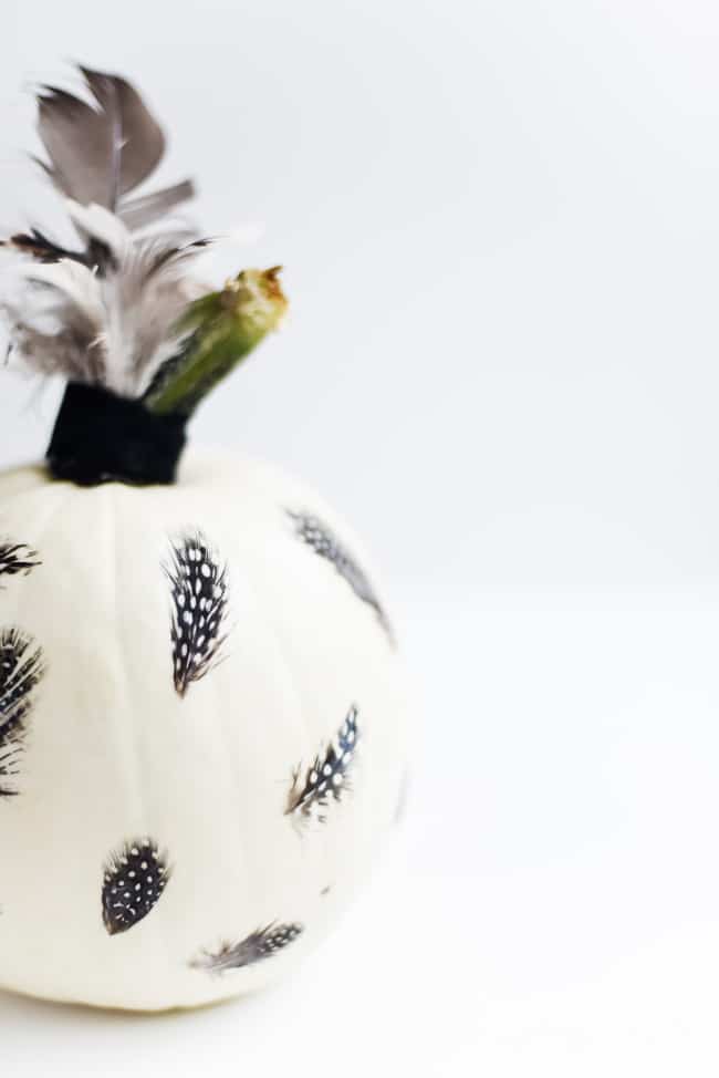 FEATHERS DECOUPAGE PUMPKIN