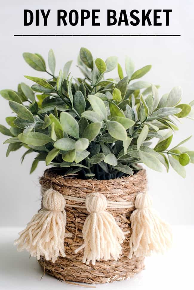 Rope basket with plant