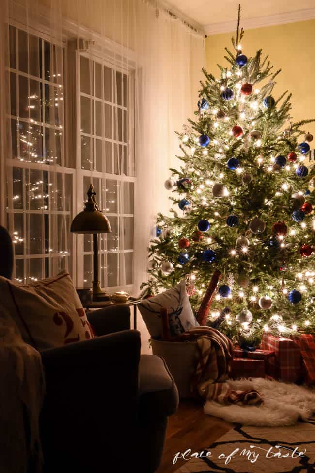 CHRISTMAS tree AT NIGHT 
