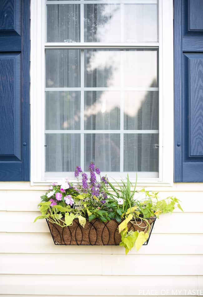 WINDOW FLOWER BASKET ON VINYL SIDING