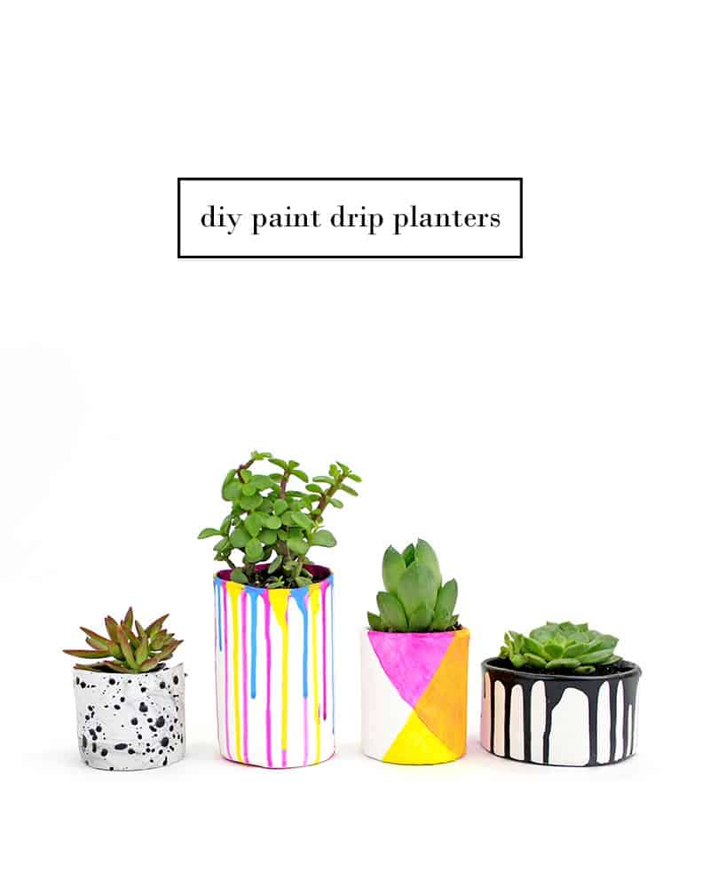 DIY Paint Drip Planters with succulents shown.