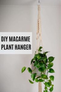 Cool DIY Macrame Plant Hanger