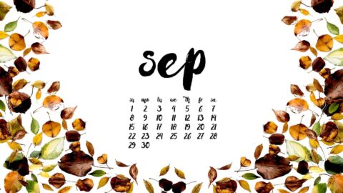 FREE DESKTOP SCREENSAVER - SEPTEMBER - Place Of My Taste