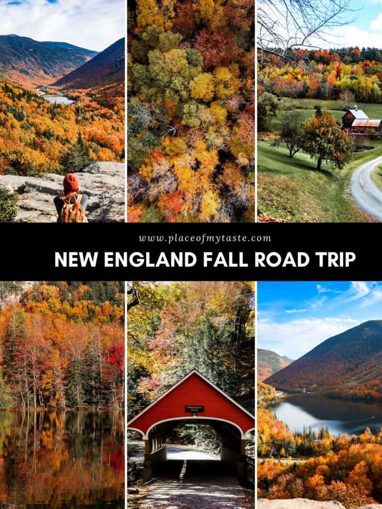 collage of fall foliage in new england