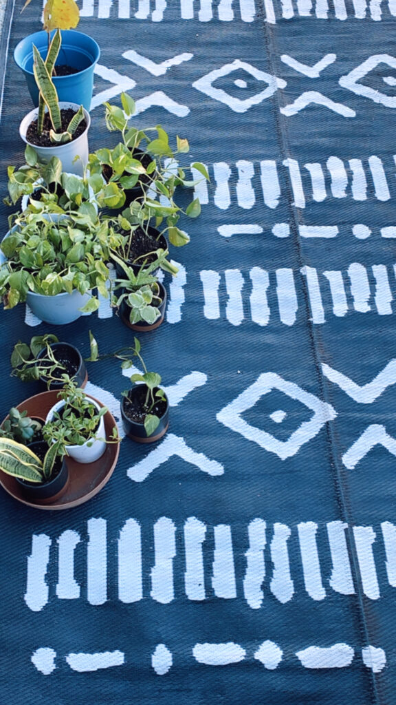 plants on a cool camping mat