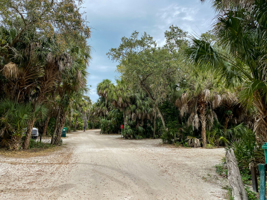 dirt road in campground with lush palm trees