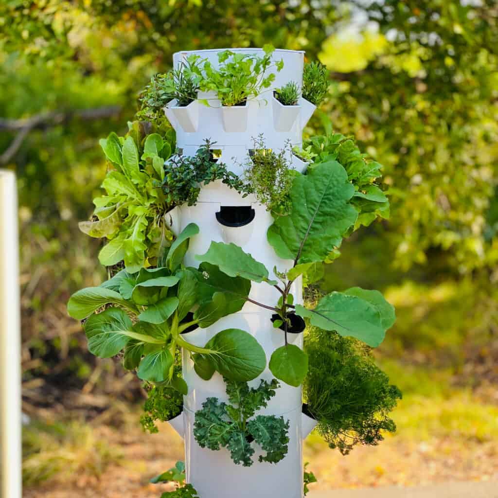 Tower Garden